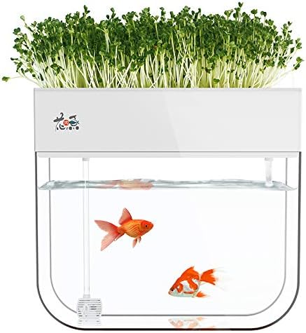 Huamuyu Sistema de Cultivo de Plantas de Tanque de Peces acuapónicos de jardín h