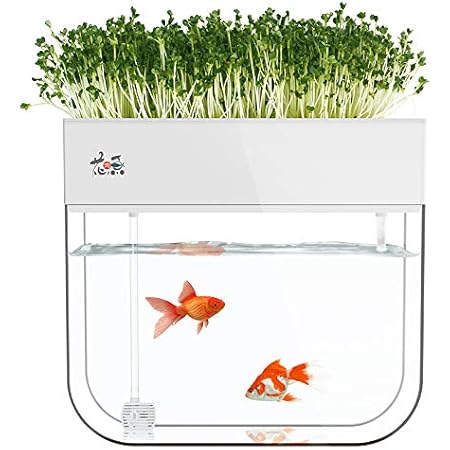 self cleaning fish tank amazon