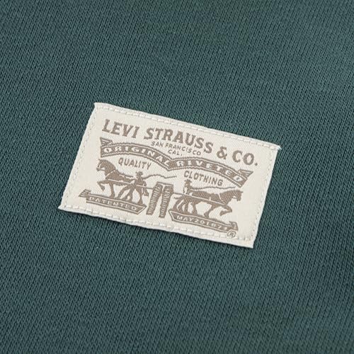 Levi's Hoodie and Jogger Pants 2-Piece Outfit Set - image 2