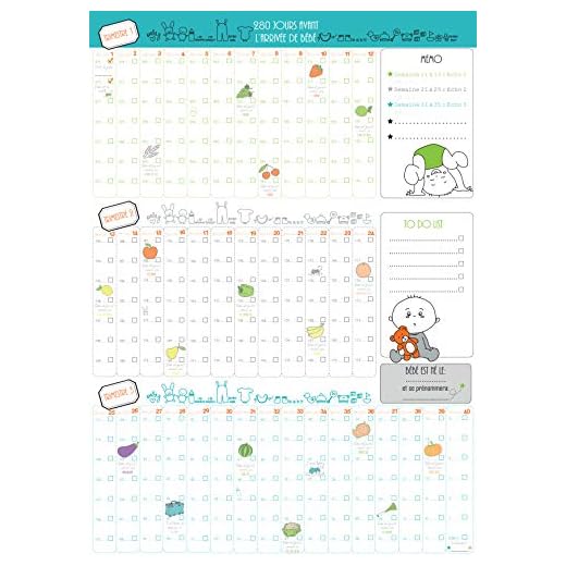Affischkalender 9 månaders loggbok graviditet dag för dag 42 x 60 blå