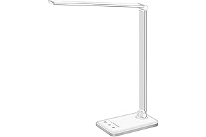 White Crown LED Dorm Desk Lamp