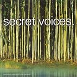 cd audio hidden tracks  Secret Voices