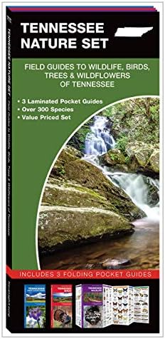 Tennessee Nature Set: Field Guides to Wildlife, Birds, Trees & Wildflowers of Tennessee