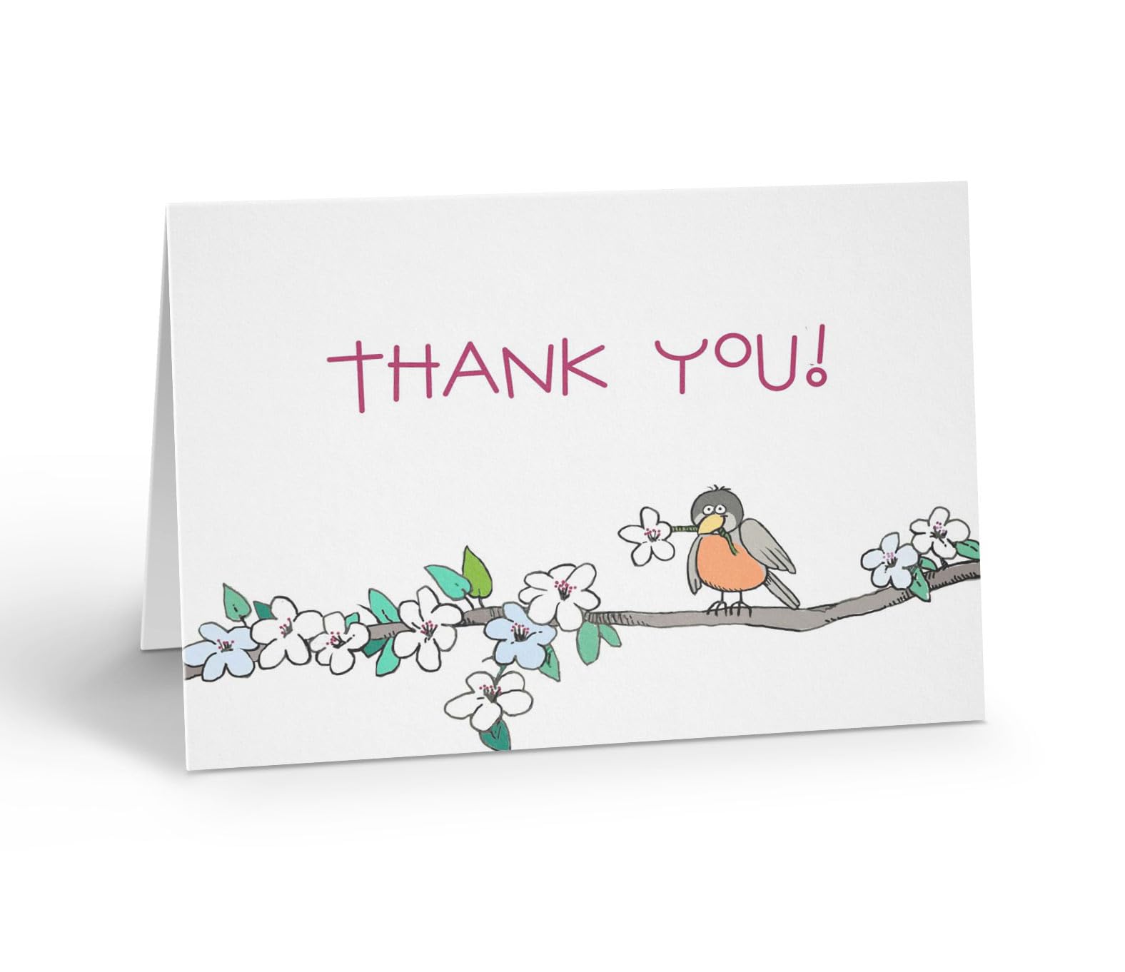 Stonehouse Collection Thank You Bird Greeting Card, Bird on Flowering Branch with “Thank You” Blank Inside, Single Note Card with Envelope, Nature Inspired Appreciation Card Birds on a Branch