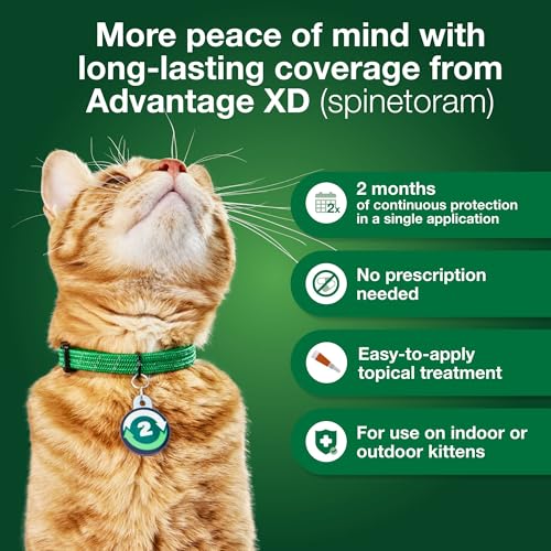 Advantage XD Large Cat Flea Prevention & Treatment For Cats over 9lbs. | 2-Topical Doses, 2-Months of Protection Per Dose - Image 5