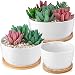 HOMENOTE 6/5/3.8 inch White Succulents Pots with Drainage Bamboo Trays Round Ceramic Succulent planters Indoor, Set of 3