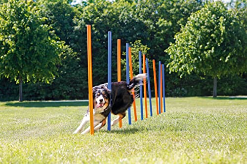 Trixie Dog Agility Slalom Set, Portable Dog Training Poles, Agility Weaving Poles, 12 Pcs #TOP1