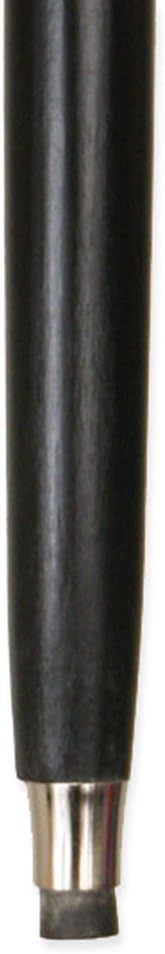 Historical Emporium Men's Raven Fashion Walking Stick Silver : Clothing, Shoes & Jewelry