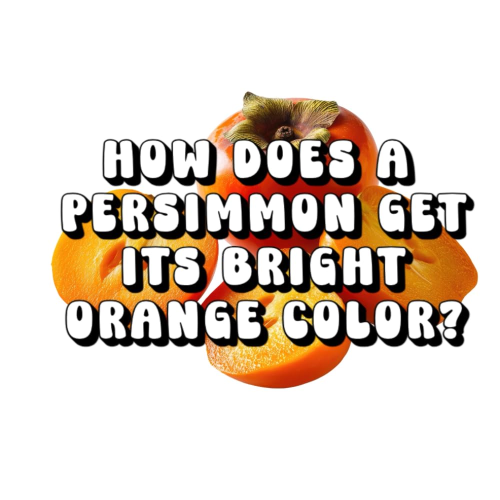 How Does a Persimmon Get Its Bright Orange Color?