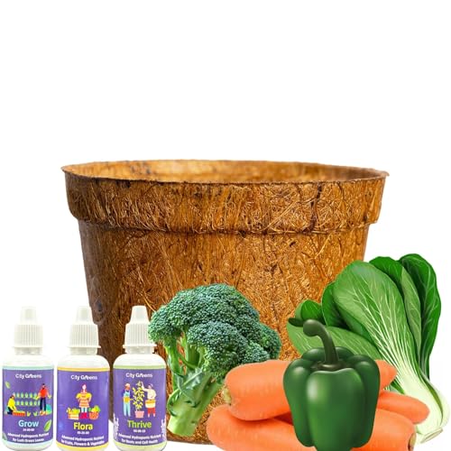 Image of City Greens Garden Starter Kit | Seed Starter Kit | 4 in 1 Stir Fry Gardening Kit - Broccoli, Bokchoi, Carrot, Capsicum | Total Seeds -40 | Perfect Gardening Kits For Kids.