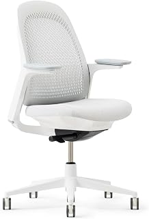 Haworth Breck Office Chair - Ergonomic Desk Seat with Height-Adjustable Lumbar Support, White Trim, Duo-Tone Hard Casters, and 4D-Arms (Lunar)