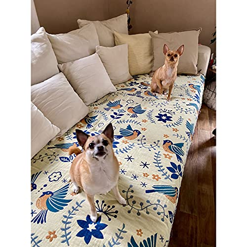 HOORDRY Baumwolle gewebte Decke Muster,Überwurf mit Fransen,Doppelseitig Boho tagesdecke,230×250CM,Blau/Beige,Edele und kuschelig weiche TV-Decke Couchdecke Sesseldecke Wendedecke bettüberwurf
