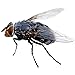 Imagen de Mata Insectos eléctrico