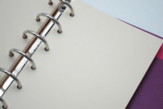 Amazon ライフ ノーブル システム手帳 リフィル 方眼 ミニ R0 システム手帳用リフィル 文房具 オフィス用品