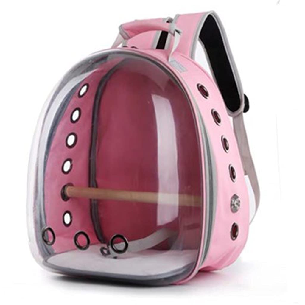 Cage de transport portable oiseaux perruches pour voyage extérieur