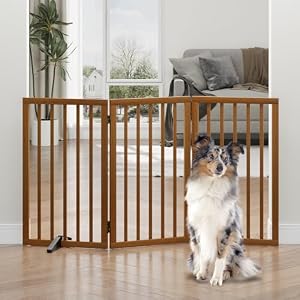 Dog Gates Doorways