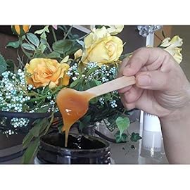 Gmark 4 Mini Wooden Spoons 100 ct, Biodegradable Compostable Birchwood (100pcs/bag) GM1042A