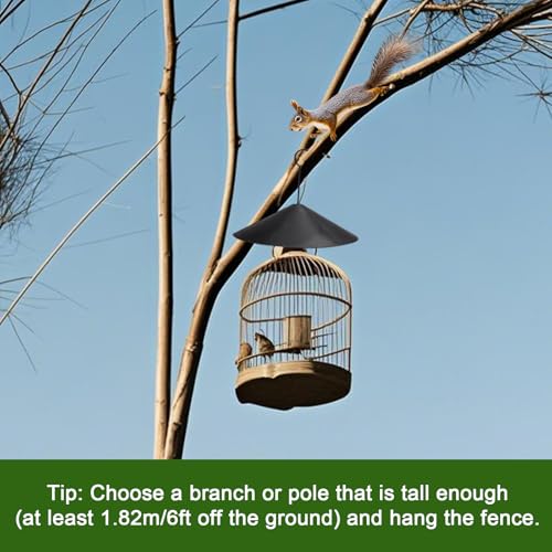 Gosknor Eichhörnchen Schutz für Vogelhaus, Eichhörnchen und Waschbärschutz Kuppelförmiges Wildvogelfutterhaus zum Schutz von Futterpfosten Vogelhäuschen und Vogelhäusern (Schwarz)