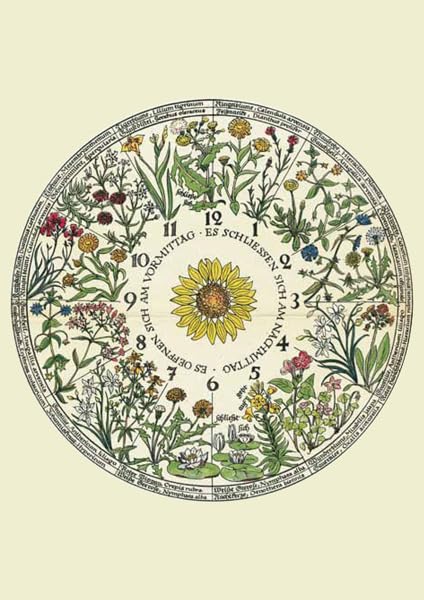Kartenset Blumenuhr
