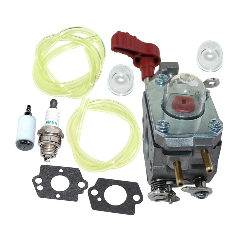 Carburateur C1U-P27 de haute précision pour moteurs 316.711190