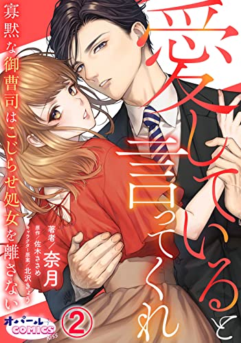 愛していると言ってくれ 寡黙な御曹司はこじらせ処女を離さない2 (オパールCOMICS kiss)