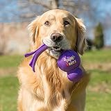 Kong Wubba Hundespielzeug quietschend Größe L