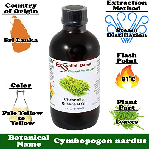 Aceite Esencial de Citronela en Botella de Vidrio Ámbar 4 oz miniatura 2