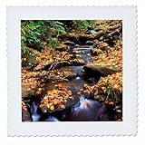 Square dimensions (in inches): 6 L x 6 W, image dimensions (in inches): 4 L x 4 W 100% poloyester; image is soft to touch. Made in USA Edges have pinking shear cut Image will not fade with washing. Image not a transfer, part of material