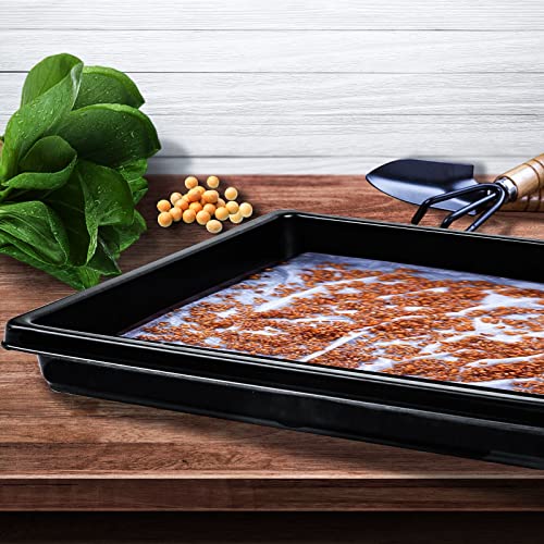 10 Pack Garden Plant Growing Trays Without Holes - 10" X 10" No Drain Holes Microgreens Growing Trays, Seedling Tray, Wheatgrass Sprouting Tray, Hydroponic Trays, Greenhouse Seed Starter Trays #TOP3