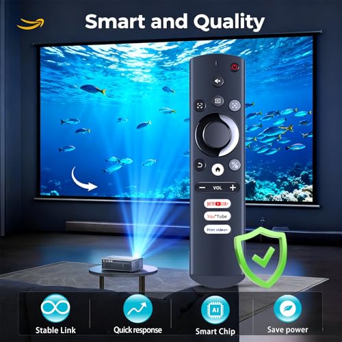 Télécommande projecteur AURZEN Boom 3 de remplacement direct