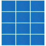 12PCS Filter Sponges Replacement Compatible with Tineco IFloor HF10E-01, Complete Cordless Wet Dry Vacuum Cleaner Spare Parts Accessories (Blue)