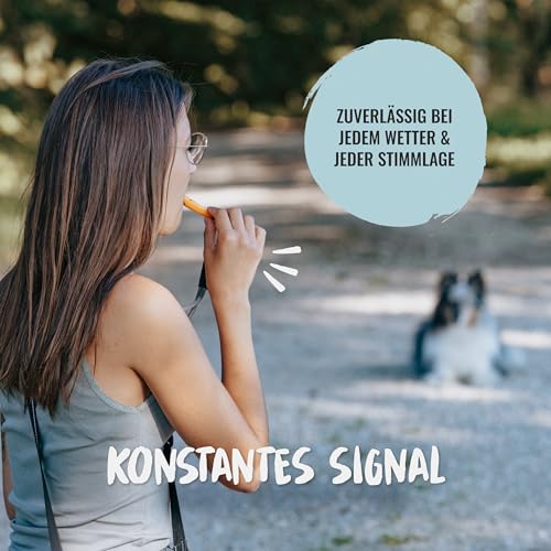 Rudelkönig Hundepfeife Rückruf - Professionelle Trainingspfeife mit genormter Frequenz und Pfeifenband - Pfeife Hund Rückruf