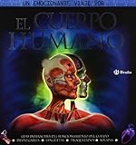 El cuerpo humano: Guía interactiva del funcionamiento del cuerpo (Castellano - A Partir De 8 Años - Álbumes - Pop-Ups)