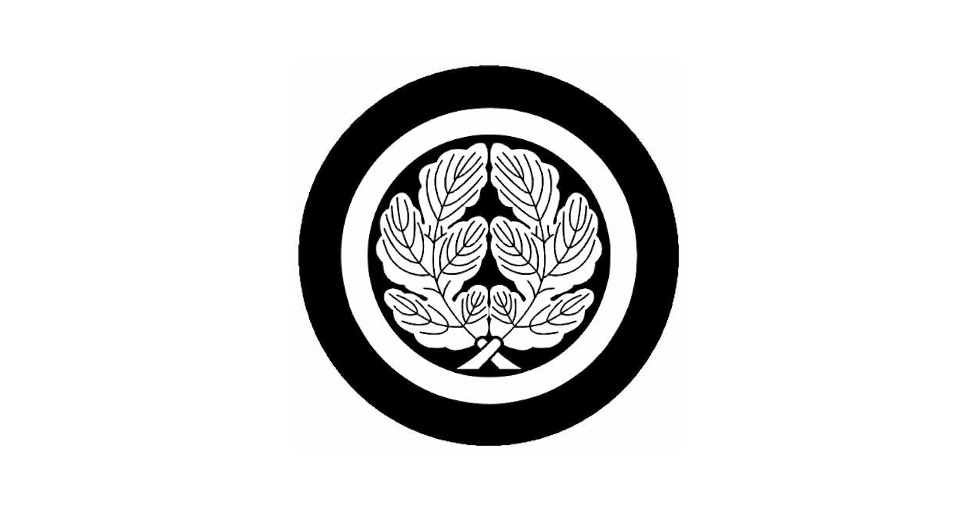 51ApYRBw4YL.jpg_BO30,255,255,