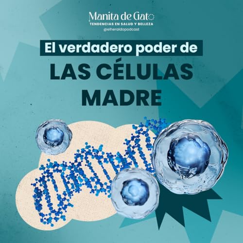 C&eacute;lulas madre: &iquest;milagro m&eacute;dico o mito moderno?