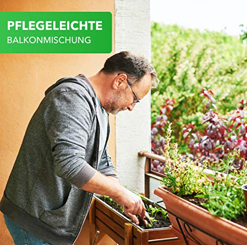 Magic of Nature Balkonkasten Mischung - 10g Samen - Bienenfreundliche Pflanzen - Kinderleichte Anwendung - Bienen… – Bild 4