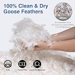 Goose Feather Oreiller Queen Taille Pack de 2 - Oreillers de lit Down Hotel pour dormir, doux 600 Fil Couvercle de coton Couchage, Support Fluffy Polyester de remplissage pour le dos, l'estomac, les couches latérales