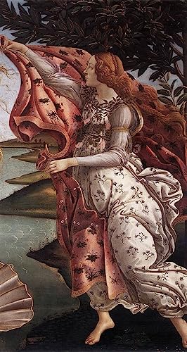 Toile La naissance de Vénus Botticelli décor de salon élégant 58x90cm