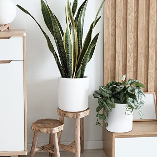 Derekey Ceramic Plant Pot 6-Inch Mid Century Planter, Flower Pot With Drainage Hole And Removable Plug For Plants Tree Flower Indoor Outdoor, White #TOP6