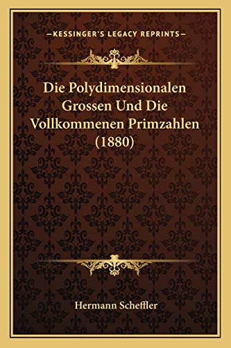 Die Polydimensionalen Grossen Und Die Vollkommenen Primzahlen (1880) (German Edition)