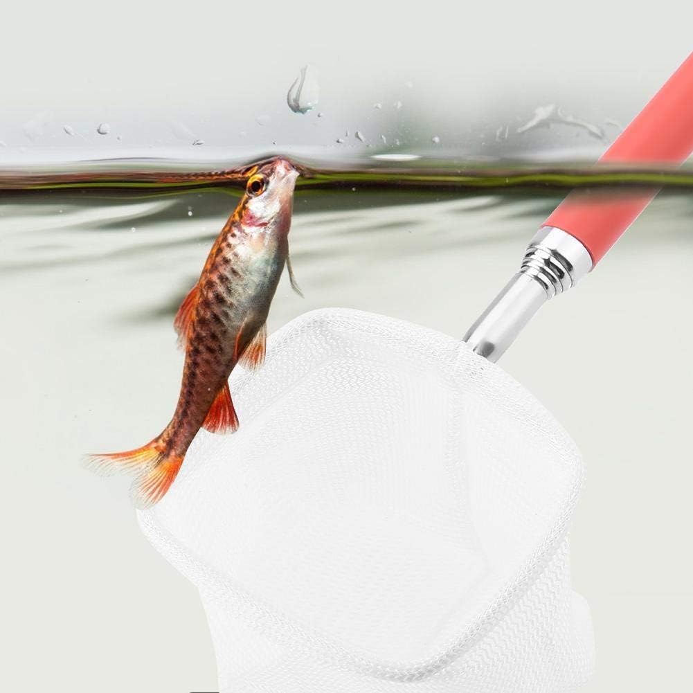 Fishing Landing Net, Extendable Telescopic Fish Shrimp Skimming Net Stainless Steel Handle Fishing Net for Aquarium Fish Pond Creek ( -Red)