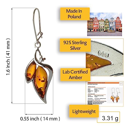 Amber Earrings - Sterling Silver and Baltic Honey Amber Earrings "Charlotte" - Sterling Silver Jewelry Collection2