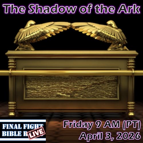 The Shadow of the Ark