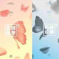 BTS 直筆サイン 花様年華 pt.2 BTS 花様年華 pt.2 直筆サイン入りアルバム トレカ ジョングク