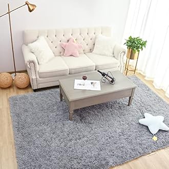 Chicrug Soft Area Rugs for Bedroom Living Room Plush Fluffy Rug 4x6 Feet, Shag Furry Area Rug Carpet Non Shedding for Nursery Children Kids Girls Room Home Decorative, Grey