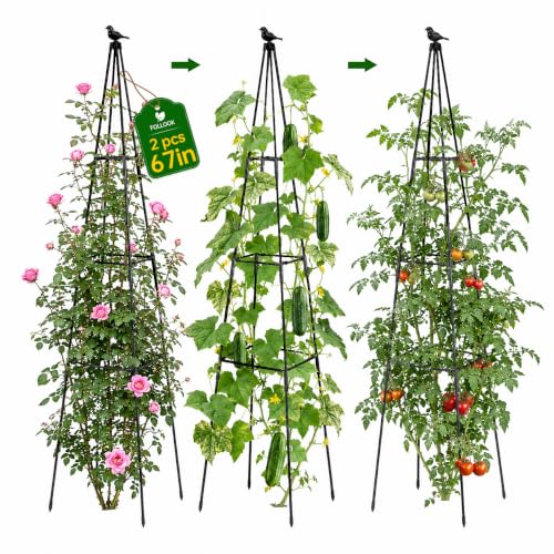 FOLLOOK 2 Pack Obelisk Trellis 67 Adjustable Metal Garden Trellis for Climbing Plants Outdoor Cucumber Trellis Tomato Cage for Raised Bed Potted Plants Vegetable Vine Flower Black