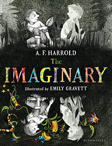 The Imaginary (English Edition)