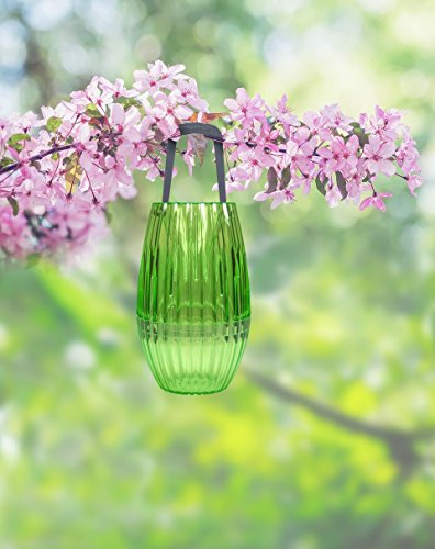 Waspfix™ Reusable Natural Hanging Wasp Trap – Colorful Non-Toxic Outdoor Wasp Hornet Yellowjacket Control (Green) #TOP5
