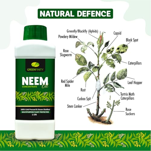 Image of GREENFINITY 100% Cold Pressed Natural Neem Oil Concentrate For Indoor & Outdoor Plants|Steam Distilled | Insecticide, Fungicide, Viricide & Miticide For Natural Gardening |1000ml