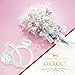 ORROUS & CO 18k White Gold Plated Cushion Halo Cubic Zirconia Engagement Ring (1.90 carats)
